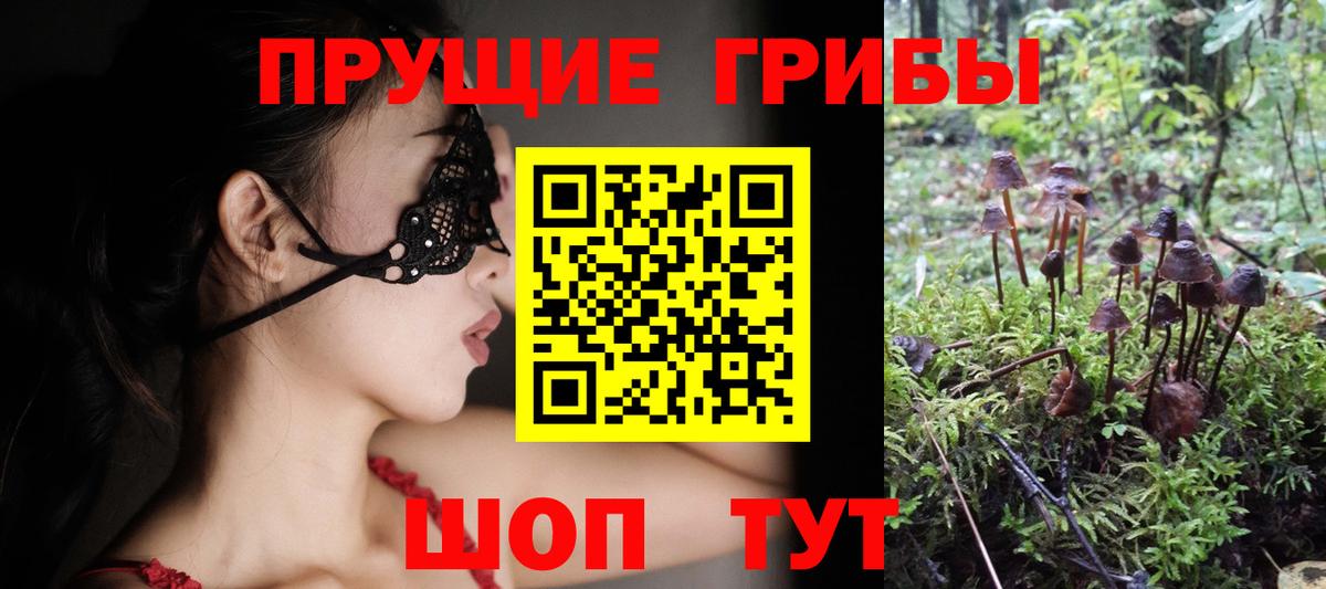 Псилоцибиновые грибы Cubensis  Вход с VPN  Галлюциногенные грибы MAGIC MUSHROOMS  Сокол 
